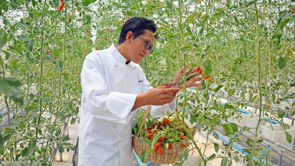 Theam’s Organic Farm