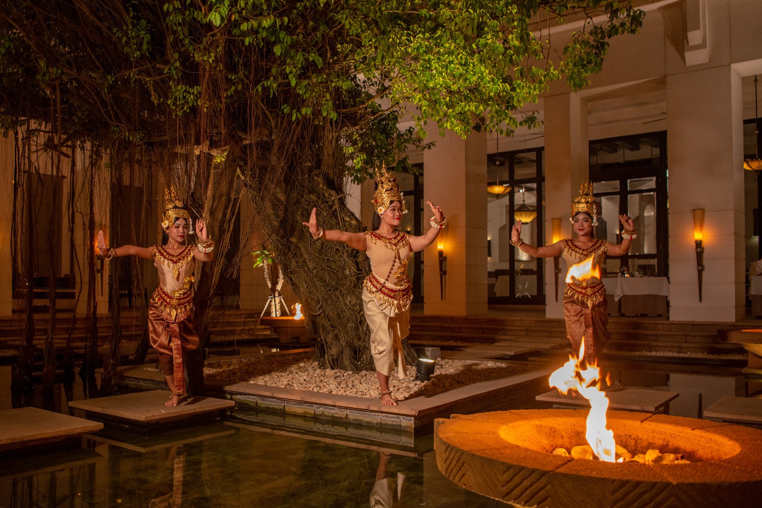 An Enchanting Evening