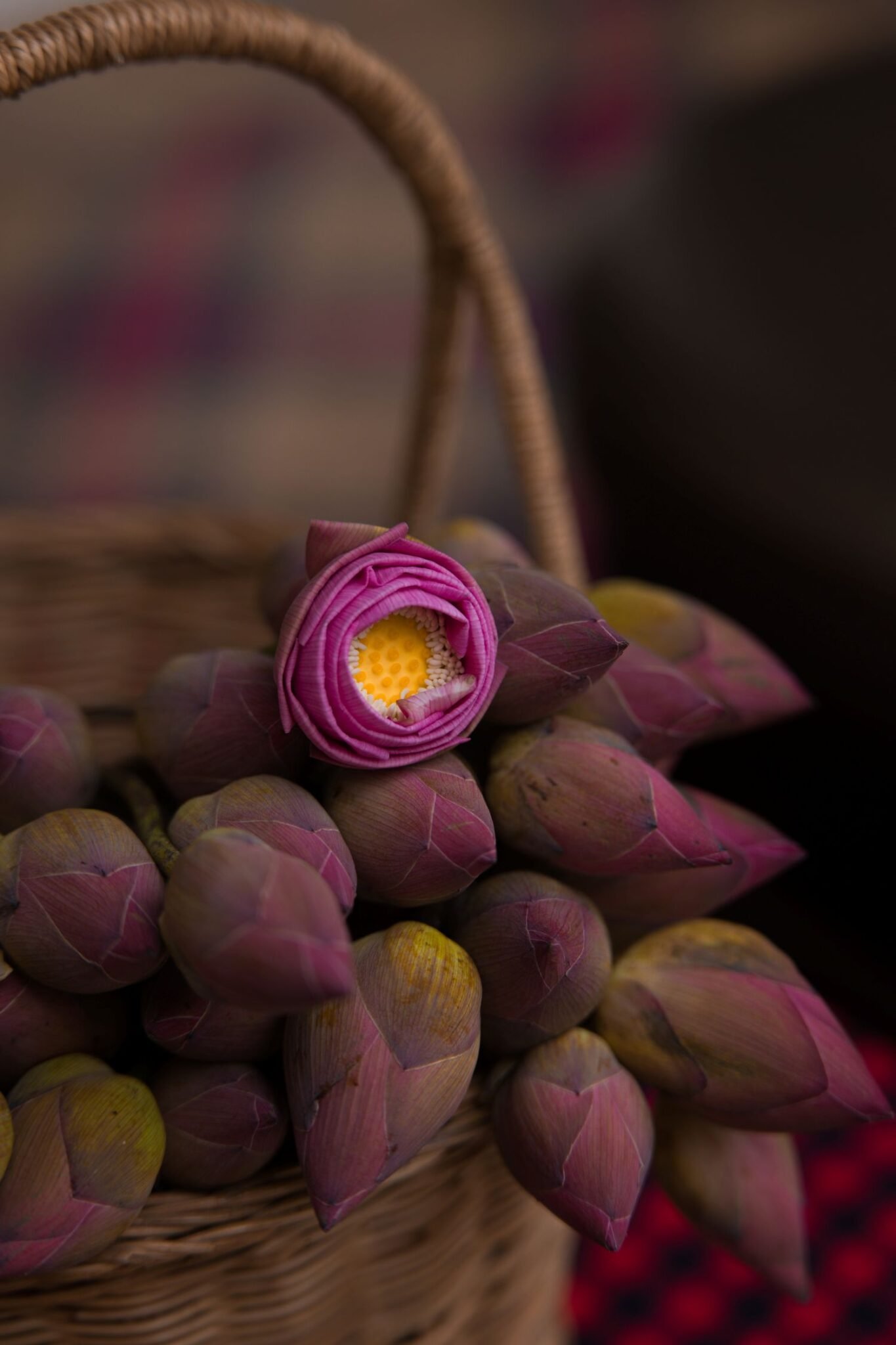 Khmer New Year Celebrations 2026